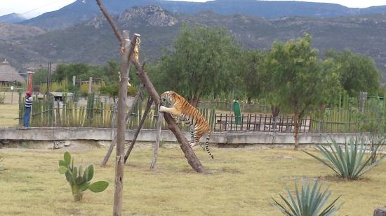 Museo de los Pintores Oaxaqueños